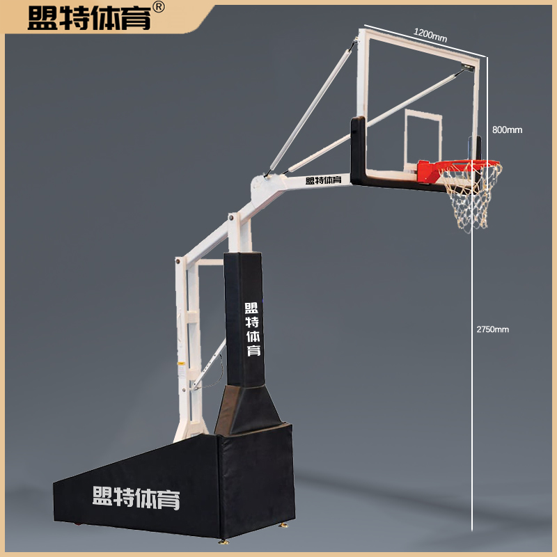 可调节篮球架推荐-333体育直播官网源头工厂